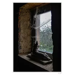 CHIEN À LA FENÈTRE