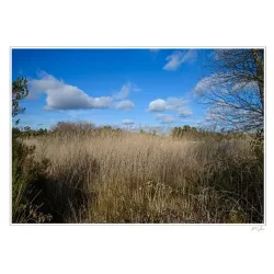 RÈVE ET TRANQUILITÉ